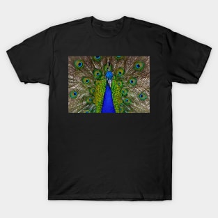 Peacock T-Shirt